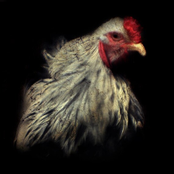 Items similar to Rooster Art Kitchen Rooster Decor Farm chicken Animal