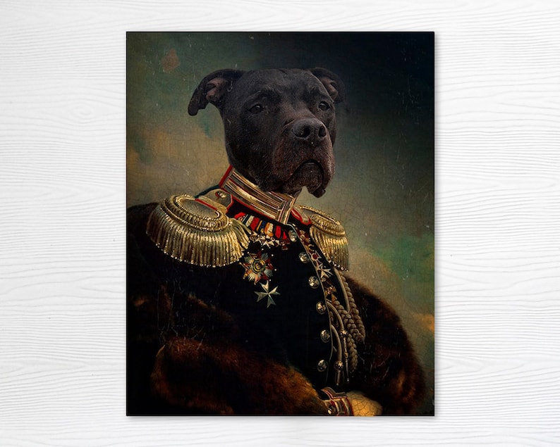 Pit Bull Gifts General Dog Pet Portrait Animal Photography Gift for Dog Lover Print General Nanook