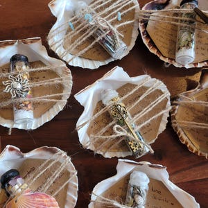 Peut inclure: Plusieurs petits flacons en verre remplis de divers éléments, dont des herbes et de petites pierres, sont présentés à l'intérieur de grands coquillages. Chaque coquillage contient une bouteille, attachée avec de la ficelle, et une petite carte.