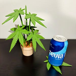 May include: A green plastic plant with five leaves in a brown pot, next to a blue can of Zevia Zero Sugar Soda. The can is sitting on a green plastic coaster with five leaves.