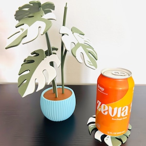 May include: A green and white monstera plant in a light blue pot with a brown rim. The plant is sitting on a dark brown surface next to a can of Zevia Orange Zero Sugar Soda. The can is sitting on a green and white monstera leaf coaster.