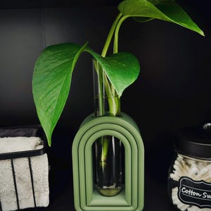May include: A green ceramic vase with three arched openings, holding a single potted plant with green leaves. The vase is on a dark surface.