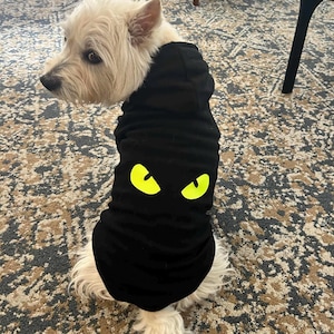 Sudadera con capucha para mascota que brilla en la oscuridad para Halloween / Regalo para mamá de perro / Sudadera con capucha premium para mascota / Conjunto de sudadera con capucha a juego para dueño de perro gato (solo sudadera con capucha para mascota)