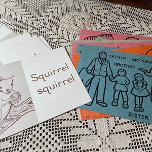 May include: A collection of rectangular educational flashcards with illustrations and text. One card features a brown squirrel illustration with the text Squirrel squirrel. Another blue card shows a family illustration with the labels FATHER, MOTHER, BROTHER, and SISTER.
