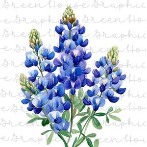 May include: A watercolor painting of a bouquet of bluebonnet flowers. The flowers are arranged in a cluster, with some buds and some fully bloomed flowers. The flowers are a vibrant blue with hints of purple and white.