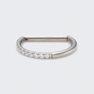 16G Silber D-Form Halbseite CZ Gepflastert Scharniersegment Clicker Ring - Titan Für Nase / Ohrläppchen / Septum / Helix / Daith / Hypoallergen / Geschenk