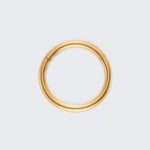 14G 16G 18G 20G Titanium Gold Segment Clicker Ring For Nose/Earlobe/Septum/Cartilage Hoop/Helix/Daith/Lip/Eyebrow/Hypoallergenic/Gift