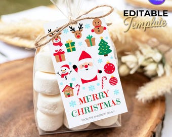 Merry Christmas Gift Tag: Teacher Classroom Holiday Label Editable Printable Template, Teacher-to-Student Gift Tag, Instant Digital Download