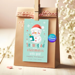 Könnte beinhalten: Eine braune Papiertüte mit einem Weihnachtsgeschenkanhänger. Der Anhänger zeigt eine Schneemann-Illustration mit dem Text "Snow glad to be classmates with you! Happy Holidays!". Der Anhänger wird mit einer Holzklammer befestigt.