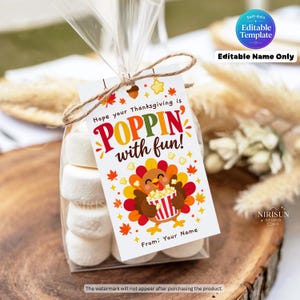 May include: A clear plastic bag filled with white marshmallows, tied with brown twine and a rectangular white paper tag. The tag features a cartoon turkey holding a popcorn bucket, autumn leaves, and the text Hope your Thanksgiving is POPPIN with fun!