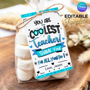 Editable teacher appreciation thank you tag template featuring a fun and modern design. This printable tag is perfect for end of school year gifts, summer teacher appreciation, and classroom celebrations. Includes multiple tags per page in a 2x3.5 inch size, easy to personalize in Canva with names and custom messages. Ideal for attaching to small gifts, treats, or thank you packages. Instant download for quick printing at home or professionally.