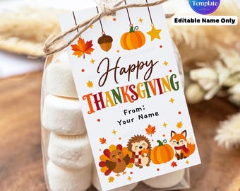 Thanksgiving Gift Tag Template, Editable Name Tag, Happy Thanksgiving Treat Tag, Printable Fall Favor Tag for Kids, Classroom Treat Tag