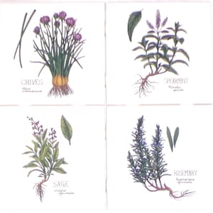 Botanical Green Herb Ceramic Tile 4 of 4.25" x 4.25" Chives Spearmint Sage Rosemary