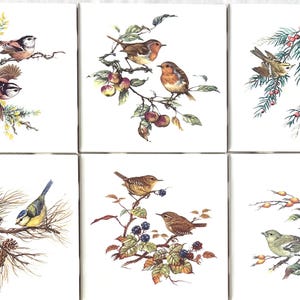 May include: Six square ceramic tiles, each featuring a different watercolor illustration of birds perched on branches with foliage. The birds are depicted in various poses, with detailed feathers and natural colors.
