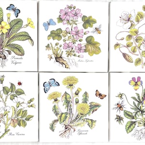 Ceramic six Botanical Flower Kiln Fired Ceramic Tiles Butterfly 4.25&quot; x 4.25&quot; Backsplash Tiles