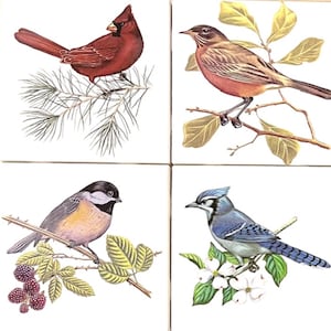 May include: Four square tiles with illustrations of birds. A red cardinal sits on a pine branch, a brown bird on a leafy branch, a small bird on a blackberry branch, and a blue jay on a flowering branch.