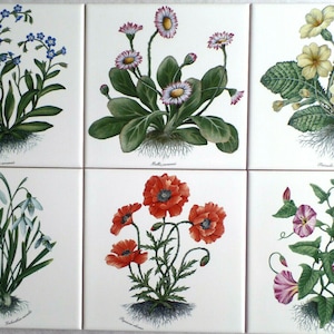 May include: Six square ceramic tiles, each featuring a different botanical illustration. The images showcase various flowers, including blue forget-me-nots, daisies, yellow primroses, snowdrops, red poppies, and pink morning glories, all against a white background.