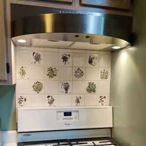 Ceramic Botanical Herb Ceramic Tiles set 6 / 4.25 x 4.25 Kiln Fired Back Splash Décor Garlic image 2