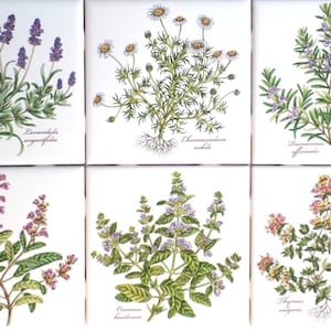 Ceramic Botanical Herb Ceramic Tile 4.25&quot; Basilicum Chamaemelum Lavendula Thymus Rosmarinus Salvia