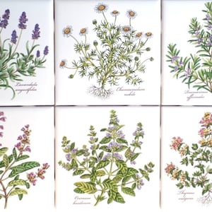 Ceramic Botanical Herb Ceramic Tile 4.25" Basilicum Chamaemelum Lavendula Thymus Rosmarinus Salvia