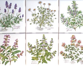 Ceramic Botanical Herb Ceramic Tile 4.25" Basilicum Chamaemelum Lavendula Thymus Rosmarinus Salvia