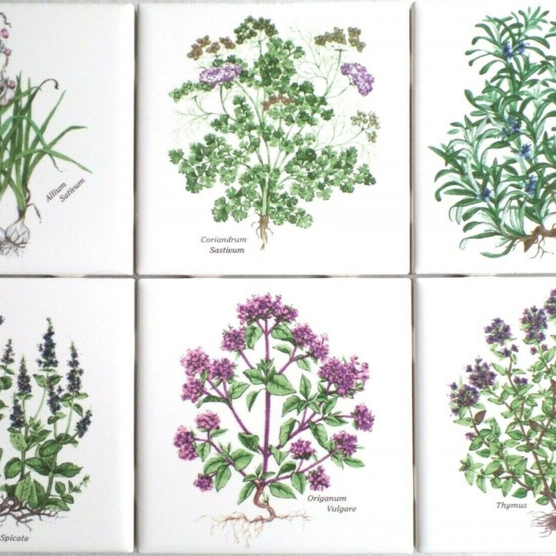 Botanical Tile - Etsy