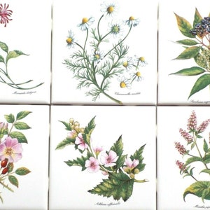 Ceramic Botanical Tea Herb Botanical Flower Ceramic Tiles set of 6 of 4.25&quot; Kiln fired Back Splash