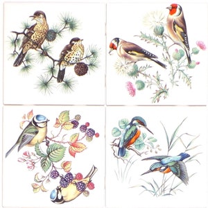 Ceramic Thrush Finch Song Birds set of 4 Ceramic Tile 4.25&quot; x 4.25&quot; Kiln Fired Decor Decorated tile