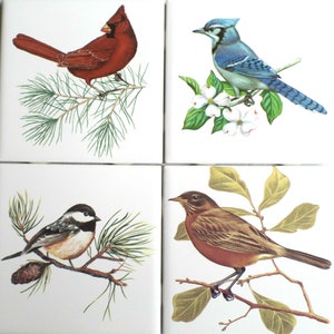 Ceramic Decor A Beautiful Birds Ceramic Tile set 4 of 4.25" x 4.25" Kiln Fired Song Birds Cardinal Blue Jay Chickadee Robin