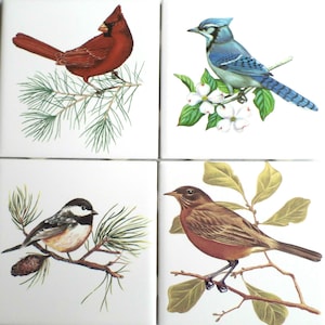 Ceramic Decor A Beautiful Birds Ceramic Tile set 4 of 4.25&quot; x 4.25&quot; Kiln Fired Song Birds Cardinal Blue Jay Chickadee Robin