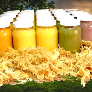 Wholesome Natural Delicious Sea Moss Gel