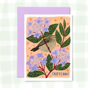 Chiffchaff Bird Greetings Card, British Garden Birds, Wildlife, Nature