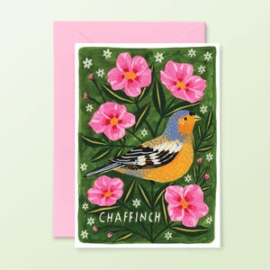 Buchfink Karte, Britische Gartenvögel, Naturliebhaber, Notecard