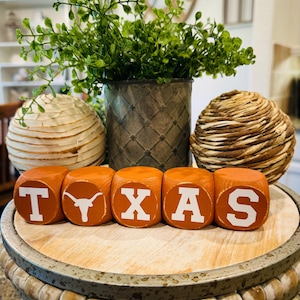 TEXAS LONGHORNS ~ Set van 5 mini houten woordblokken, Longhorn-cadeau, Longhorn-bureau en interieur, Hook 'Em Horns, afstudeercadeau, voetbalcadeau,