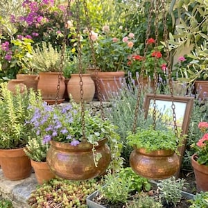 Pode incluir: Duas floreiras de cobre suspensas cheias de vegetação e flores roxas. As floreiras são suspensas por correntes e colocadas contra um fundo de um jardim exuberante com vasos de terracota e várias plantas.