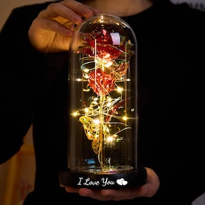 Mother's Day Gifts Elegant Eternal Rose under Glass Dome,Galaxy Rose for mom,Anniversary Gifts,A Timeless Gift for Eternal Love,Gift for mom