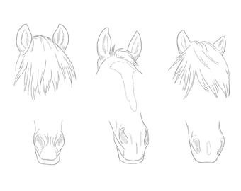 Personalisierte Tierzeichnung, Pferdezeichnung, Geschenkidee für Pferdeliebhaber, Tierillustration personalisiert, Zeichnung Haustier