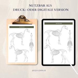Könnte beinhalten: Druckbarer oder digitaler Pferdeskelett-Diagramm zum Erlernen der Anatomie. Das Diagramm zeigt das Pferdeskelett von der Seite und von hinten. Der Text "Kritzelseite" ist auf der Seite sichtbar.