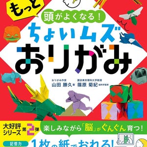 giapponese giappone Origami Origami incredibili Carta dell’arte Libro degli Origami Artista degli Origami Creazioni di carta Abilità degli