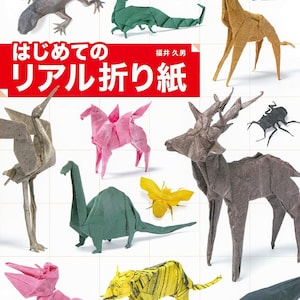 giapponese giappone Origami Origami incredibili Carta dell’arte Libro degli Origami Artista degli Origami Creazioni di carta Abilità degli