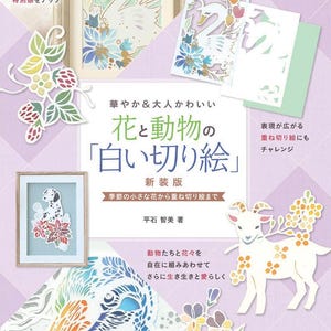giapponese giappone Origami Origami incredibili Carta dell’arte Libro degli Origami Artista degli Origami Creazioni di carta Abilità degli