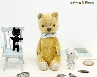 The Story Behind Hippie Coco's Life With Teddy Bear and How to