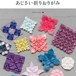 giapponese giappone Origami Origami incredibili Carta dell’arte Libro degli Origami Artista degli Origami Creazioni di carta Abilità degli