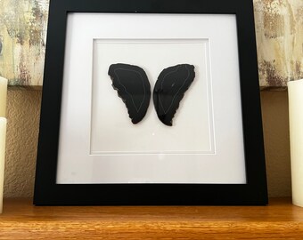 Large Butterfly shaped dark brown/black agate slice in black frame with white matting 14" x 14"