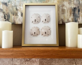 11”x14” Gold frame with white double matting around a set of 4 sand dollars