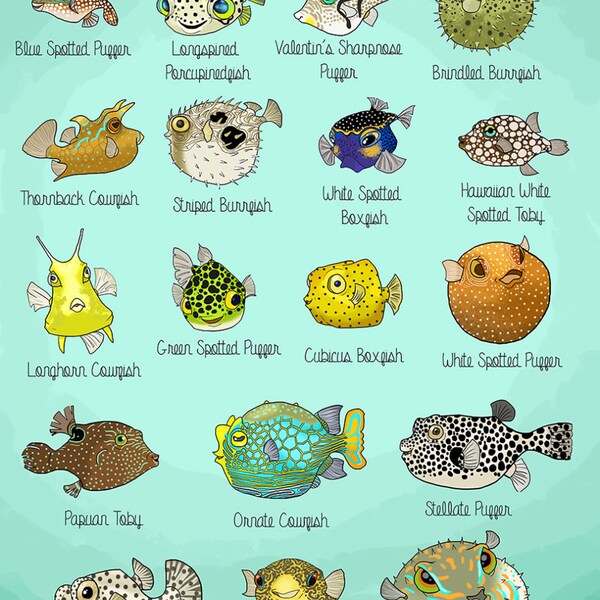 Puffers of the World 11x17