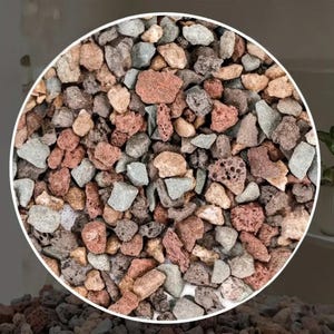 Colorful Natural Pebble Soil Topper | Decorative Plant Gravel | Soil Amendment