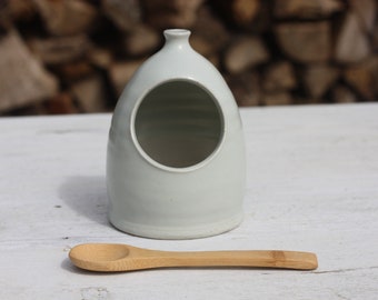 Small Salt Pig Gift Set in Palest Mint Green with Cornish Sea Salt Pot and Bamboo Spoon