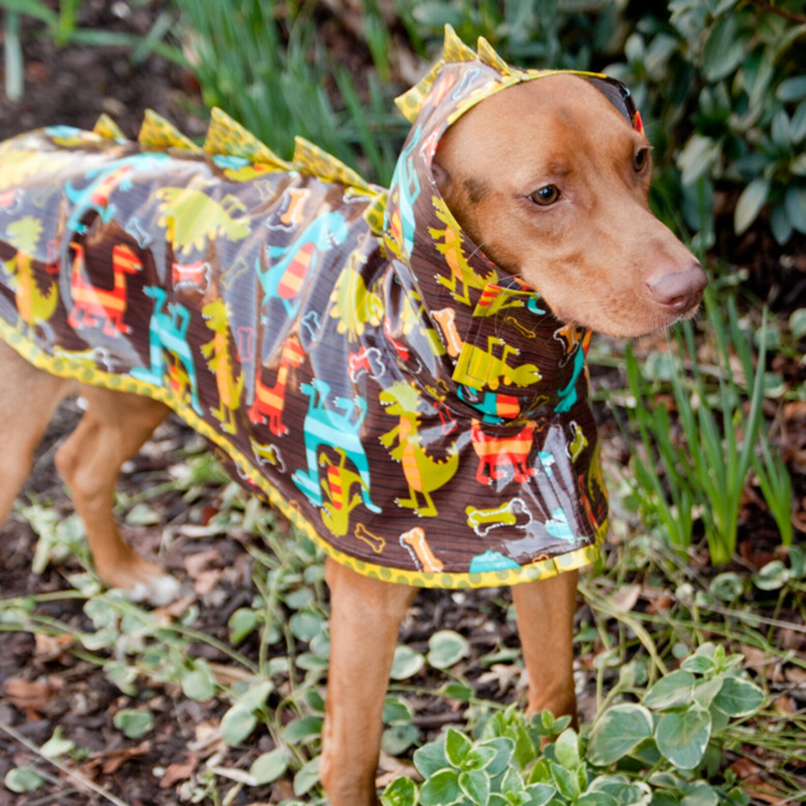 Dinosaur Dog Raincoat Waterproof Dog Coat Dog Raincoat With Etsy