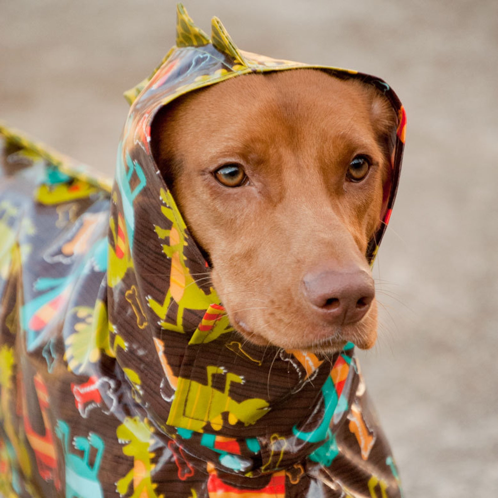 Dinosaur Dog Raincoat Waterproof Dog Coat Dog Raincoat With Etsy